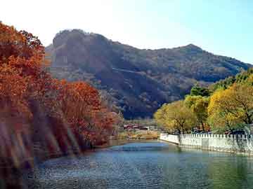 新門(mén)內(nèi)部資料免費(fèi)查詢，探索知識(shí)的寶庫(kù)，新門(mén)內(nèi)部資料免費(fèi)探索，知識(shí)的寶庫(kù)大門(mén)敞開(kāi)