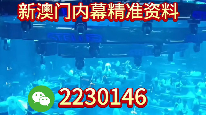 新奧2025今晚開獎(jiǎng)資料詳解，新奧2025今晚開獎(jiǎng)資料全面解析
