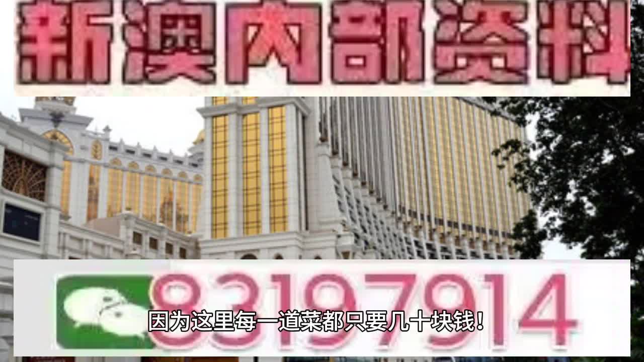 澳門六肖中特馬，探索與解讀，澳門六肖中特馬的探索與解讀指南