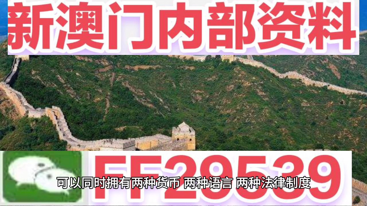 新澳門今晚開獎結(jié)果號碼查詢表，探索彩票世界的神秘面紗，新澳門今晚開獎結(jié)果號碼查詢表，揭開彩票世界的神秘面紗