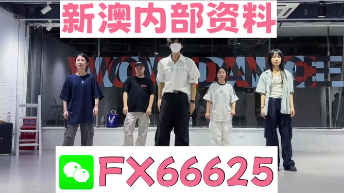 新澳天天開獎資料大全最新版詳解，新澳天天開獎資料大全最新版詳解及中獎秘籍