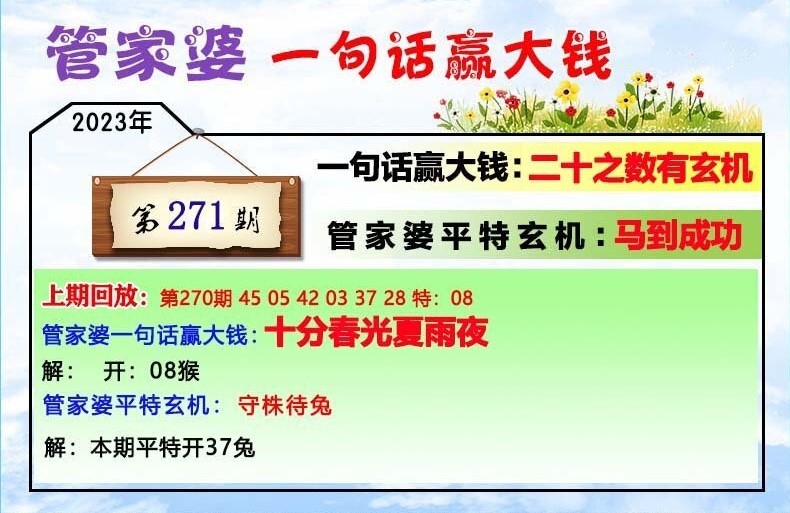 揭秘芳草，探索管家婆四肖四碼中的秘密與策略，揭秘芳草管家婆四肖四碼的秘密與策略探索