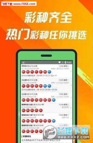 王中王493333中特馬特色的探索與解析，王中王493333中特馬特色的深度解析與探索