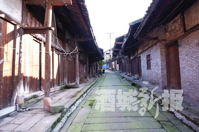 新溪門(mén)免費(fèi)資料大全，探索與收獲，新溪門(mén)免費(fèi)資料探索之旅，收獲與成長(zhǎng)