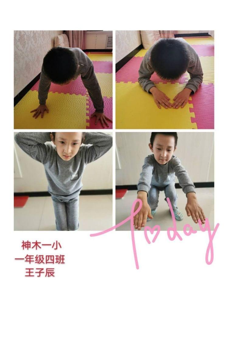 新天天彩免費資料大全，探索與解析，新天天彩免費資料大全，深度探索與解析