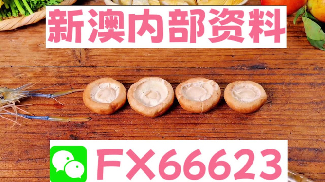 新澳全年免費(fèi)資料大全，探索與收獲，新澳全年免費(fèi)資料大全，探索之旅與收獲的時(shí)刻