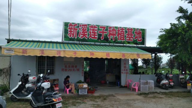 新溪門免費資料大全，探索與收獲，新溪門免費資料探索之旅，收獲與成長