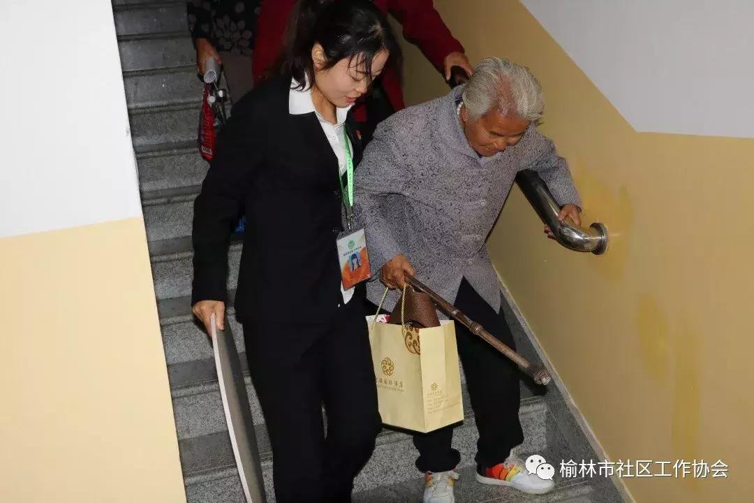 天天免費資料彩票大全，探索彩票世界的奧秘與機遇，天天免費資料彩票大全，揭秘彩票世界的奧秘與機遇