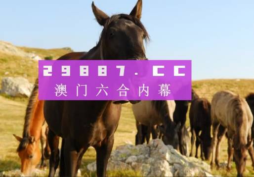 新澳門(mén)管家婆一特一中，探索現(xiàn)代博彩管理的典范，現(xiàn)代博彩管理典范，澳門(mén)管家婆一特一中探索之路