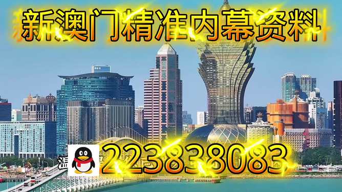 探索新澳門正版內(nèi)部，一個(gè)多元化的未來展望（至2025年），澳門未來展望，探索多元化發(fā)展之路至2025年