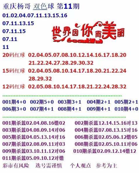 新門內(nèi)部資料大全免費查詢，探索與啟示，新門內(nèi)部資料免費探索，啟示與大全查詢
