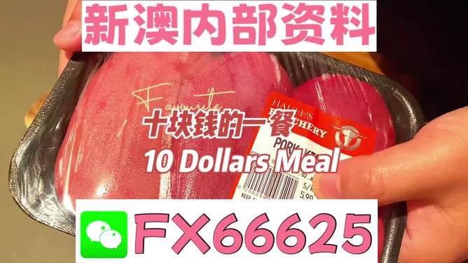 探索未來，揭秘2025新奧精準正版資料的價值與影響，揭秘未來之門，2025新奧精準正版資料的價值與影響探索