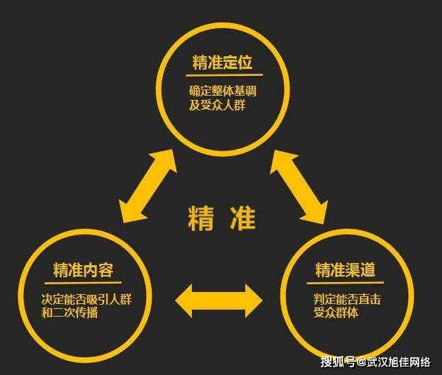 新奧精準選免費提供，引領(lǐng)未來的智能決策之道，新奧精準選引領(lǐng)智能決策新時代，免費開放，洞悉未來之道