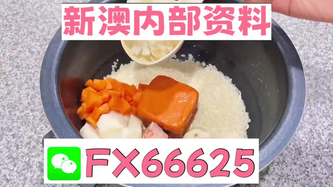 新奧精準(zhǔn)免費(fèi)資料提供，探索與啟示，新奧精準(zhǔn)免費(fèi)資料探索，啟示與分享