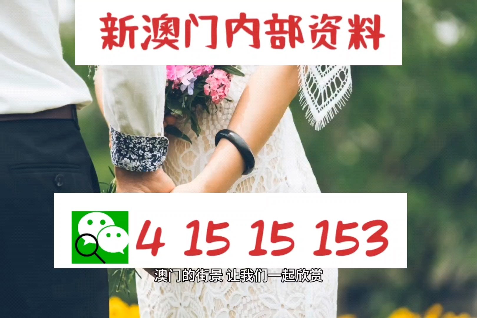 澳門六肖中特馬，探索與解讀，澳門六肖中特馬的探索與解讀指南