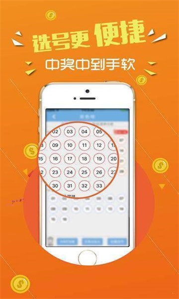 王中王論壇，心水交匯的智慧之地，王中王論壇，智慧交匯的心靈之地