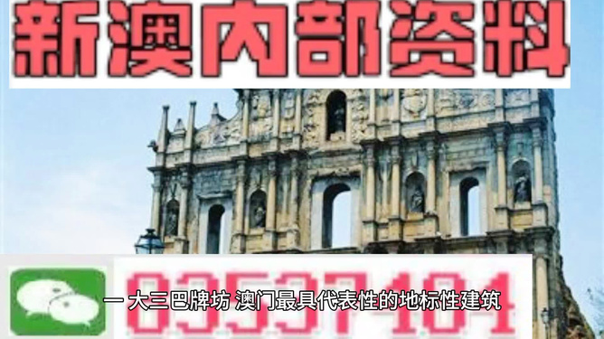 新門內(nèi)部資料大全免費(fèi)，探索與啟示，新門內(nèi)部資料免費(fèi)探索與啟示指南