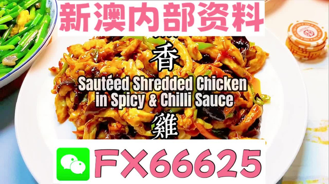2025新奧精準(zhǔn)資料免費大全，探索未來，助力成長，2025新奧精準(zhǔn)資料免費大全，探索未來助力成長之路