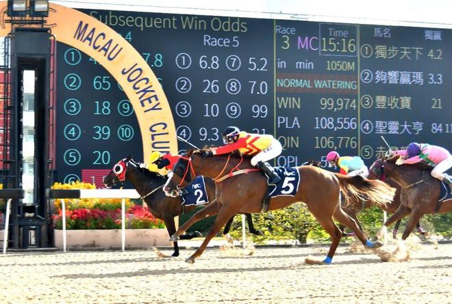 澳門馬免費(fèi)料期期公開，探索背后的真相與意義，澳門馬免費(fèi)料期期公開背后的真相與意義探索
