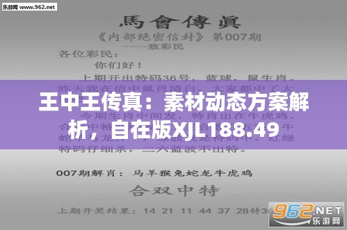 探索正版王中王，數(shù)字背后的故事與意義，正版王中王，數(shù)字背后的故事與深意