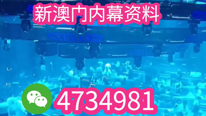 澳門特馬開獎結(jié)果，探索與期待2025年的奇跡，澳門特馬開獎結(jié)果，探索與期待未來奇跡（2025展望）