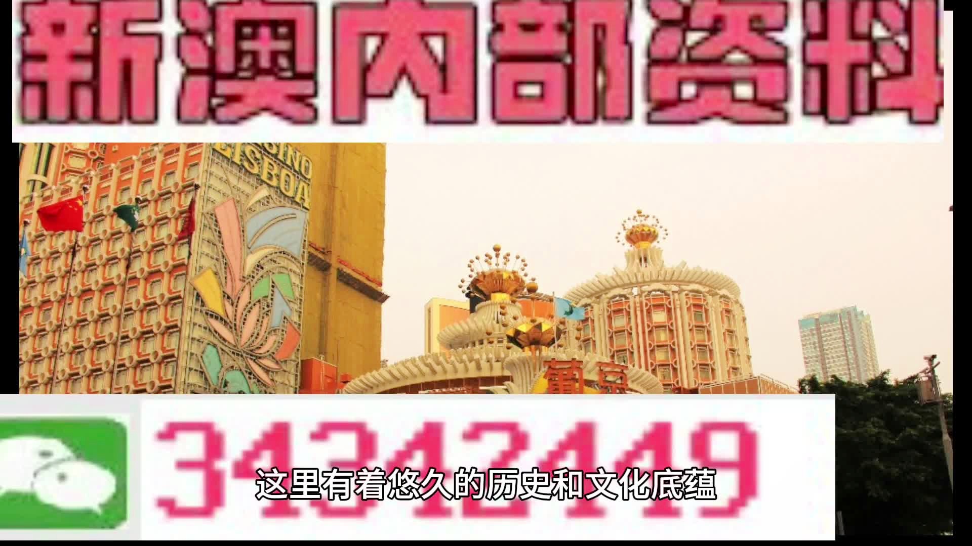 新門內(nèi)部免費(fèi)資料大全，探索與啟示，新門內(nèi)部資料探索與啟示，免費(fèi)資料大全