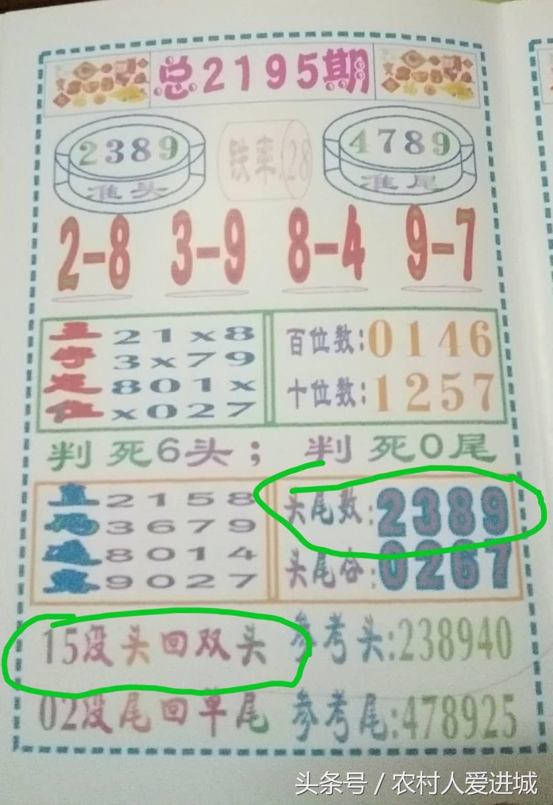 新澳門中期期期準(zhǔn)的發(fā)展與展望，澳門未來中期發(fā)展展望與趨勢