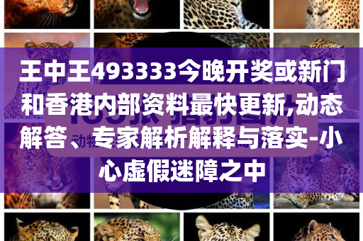 王中王493333中特大全，探索神秘?cái)?shù)字的魅力與內(nèi)涵，王中王493333中的神秘?cái)?shù)字魅力與內(nèi)涵探索