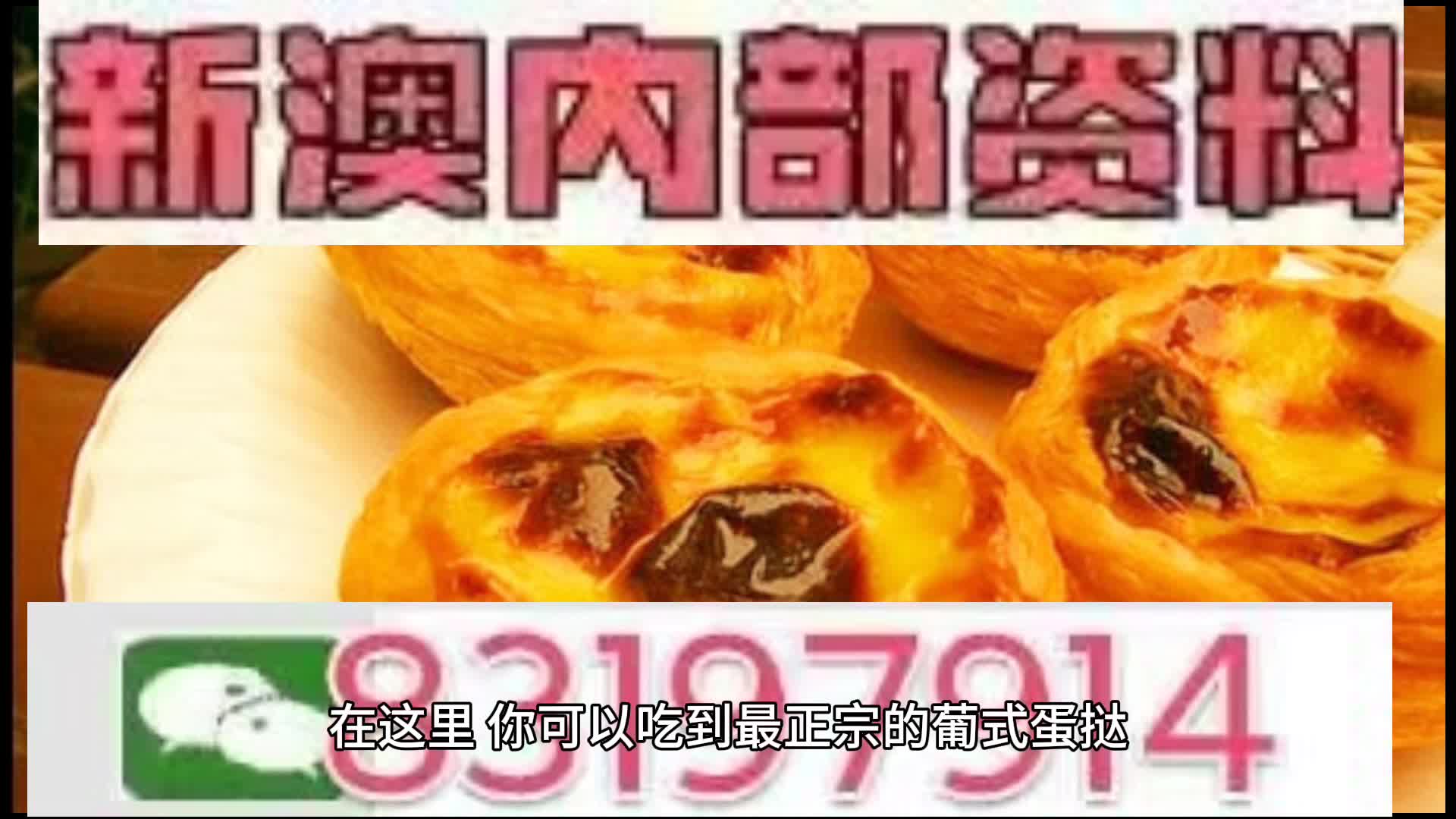 探索未來(lái)的澳門(mén)，新澳門(mén)中特網(wǎng)的發(fā)展與展望，澳門(mén)未來(lái)探索，新澳門(mén)中特網(wǎng)的發(fā)展展望