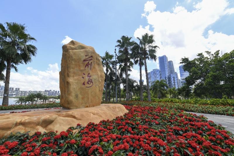 新澳門內(nèi)部精準(zhǔn)公開(kāi)，探索與解讀，澳門內(nèi)部精準(zhǔn)解讀，探索與揭秘