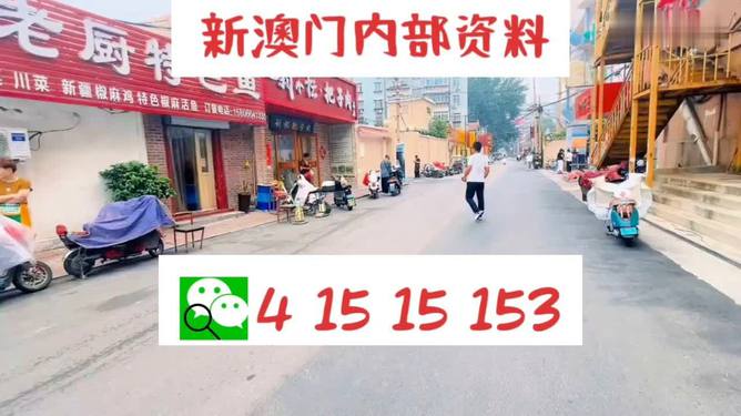 新奧天天開好彩大全——邁向成功的關鍵所在，新奧天天開好彩大全，成功之關鍵所在
