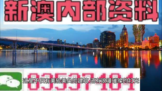 新澳新澳門正版資料的深度解析，澳門正版資料深度解析與解讀