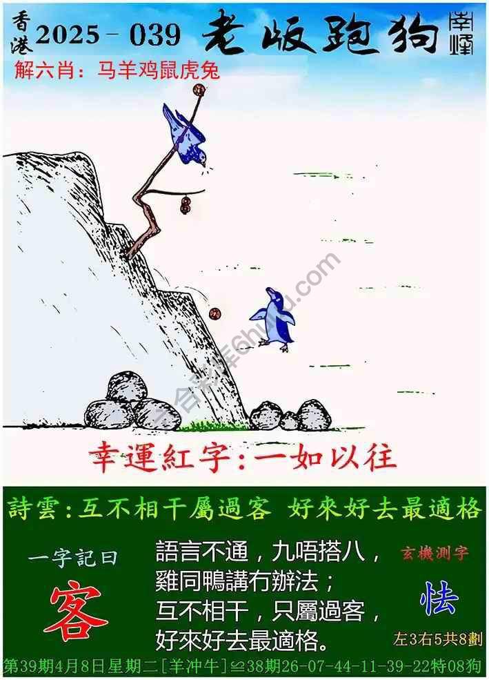 探索全新體驗(yàn)，7777788888新版跑狗，探索全新跑狗體驗(yàn)，7777788888新版來襲